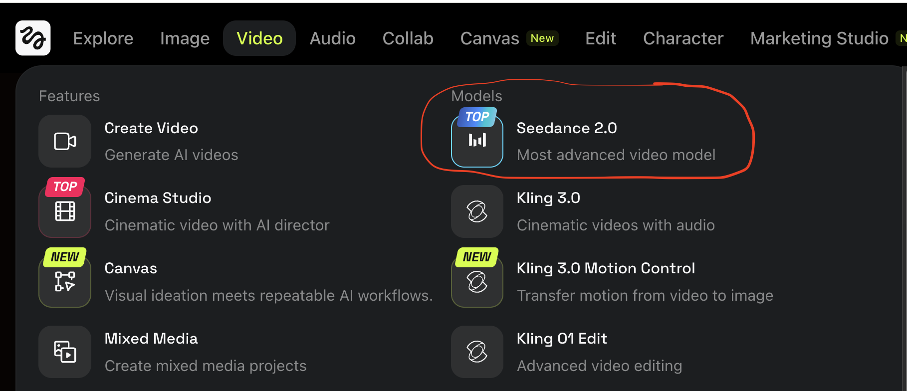 Higgsfield Video tab showing Seedance 2.0 under the Models column